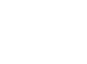 Logo Grafiversum weiß